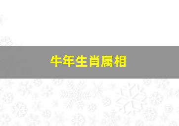 牛年生肖属相