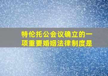 特伦托公会议确立的一项重要婚姻法律制度是