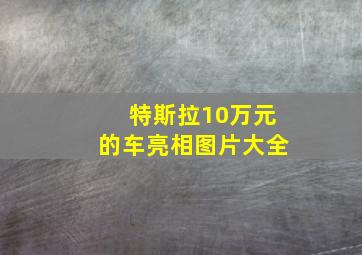 特斯拉10万元的车亮相图片大全