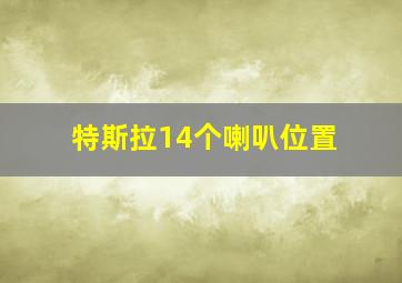 特斯拉14个喇叭位置