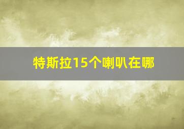 特斯拉15个喇叭在哪