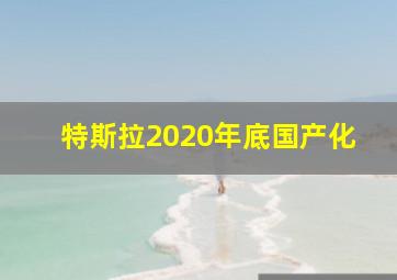 特斯拉2020年底国产化