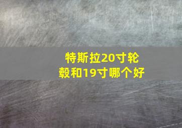 特斯拉20寸轮毂和19寸哪个好