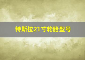 特斯拉21寸轮胎型号