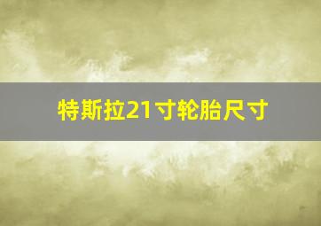 特斯拉21寸轮胎尺寸