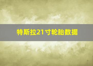 特斯拉21寸轮胎数据