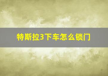 特斯拉3下车怎么锁门