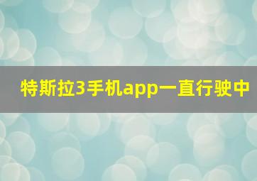 特斯拉3手机app一直行驶中