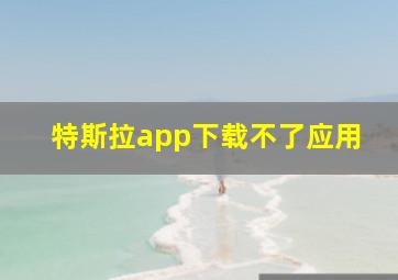 特斯拉app下载不了应用