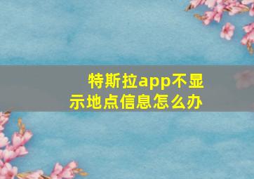 特斯拉app不显示地点信息怎么办