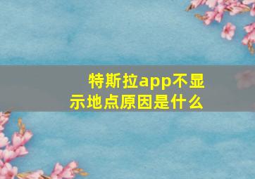 特斯拉app不显示地点原因是什么