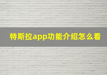 特斯拉app功能介绍怎么看