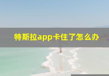 特斯拉app卡住了怎么办