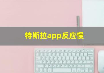 特斯拉app反应慢