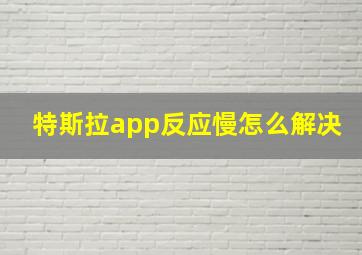 特斯拉app反应慢怎么解决