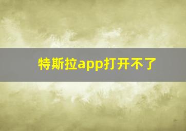 特斯拉app打开不了