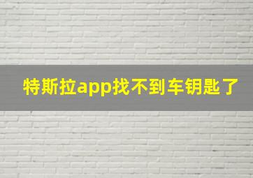 特斯拉app找不到车钥匙了