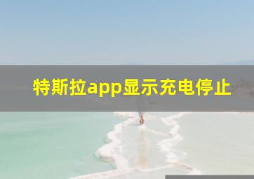 特斯拉app显示充电停止