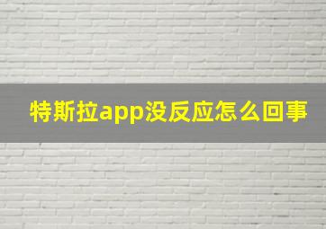 特斯拉app没反应怎么回事