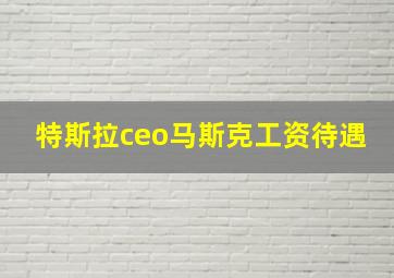 特斯拉ceo马斯克工资待遇