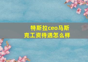 特斯拉ceo马斯克工资待遇怎么样