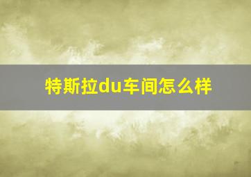 特斯拉du车间怎么样