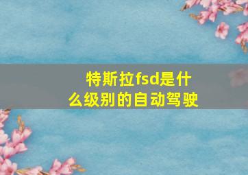 特斯拉fsd是什么级别的自动驾驶