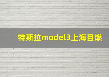 特斯拉model3上海自燃