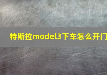 特斯拉model3下车怎么开门