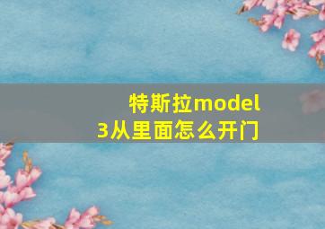 特斯拉model3从里面怎么开门