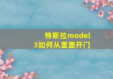 特斯拉model3如何从里面开门