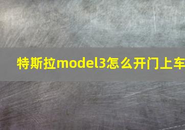 特斯拉model3怎么开门上车