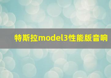 特斯拉model3性能版音响