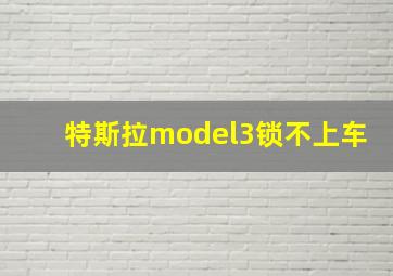 特斯拉model3锁不上车