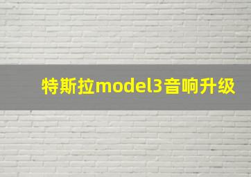 特斯拉model3音响升级