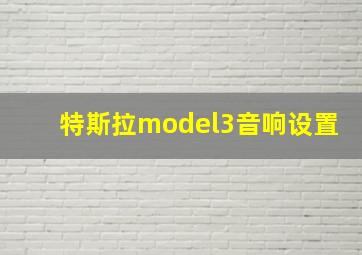 特斯拉model3音响设置