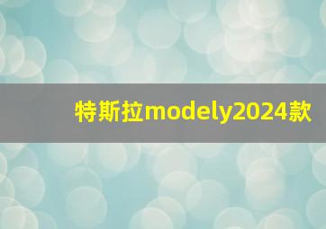 特斯拉modely2024款