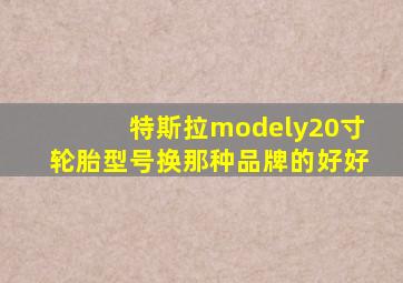 特斯拉modely20寸轮胎型号换那种品牌的好好