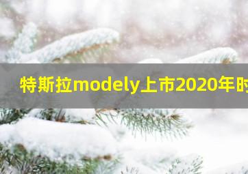 特斯拉modely上市2020年时间