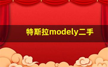 特斯拉modely二手