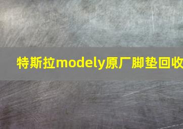 特斯拉modely原厂脚垫回收