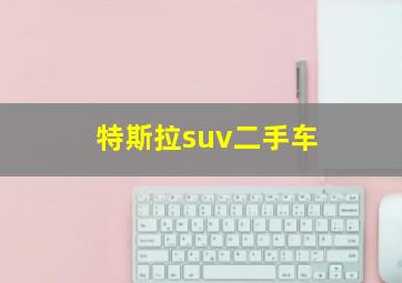 特斯拉suv二手车