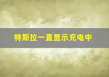 特斯拉一直显示充电中