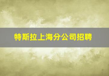 特斯拉上海分公司招聘