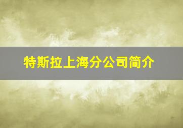 特斯拉上海分公司简介