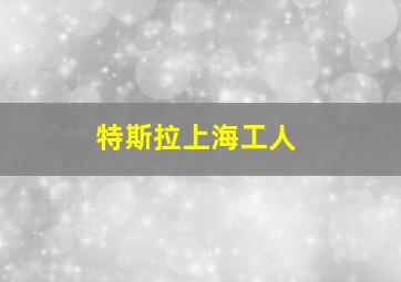 特斯拉上海工人