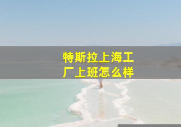 特斯拉上海工厂上班怎么样