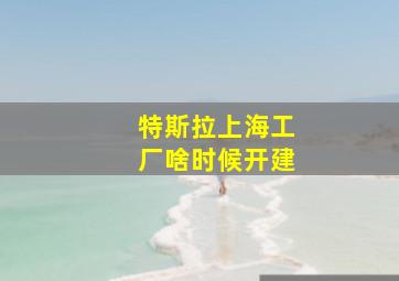 特斯拉上海工厂啥时候开建