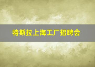 特斯拉上海工厂招聘会