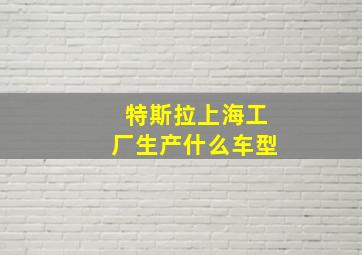 特斯拉上海工厂生产什么车型